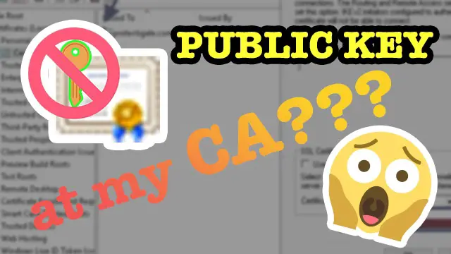 Tls Ssl Does My Public Ca Have My Private Key Part2 Opentechtips Tls Ssl Does My Public Ca Have My Private Key Part2 Opentechtips