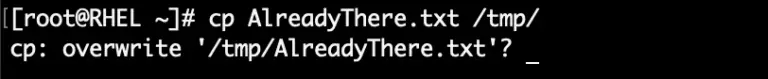 force cp linux