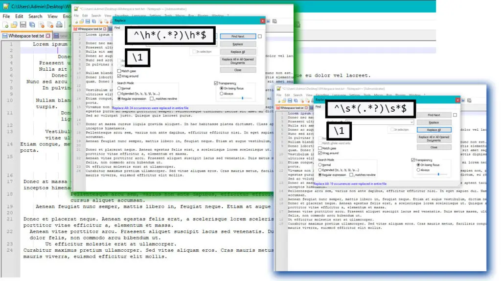 Regex tricks &#8211; Remove leading and trailing white spaces with Notepad++ and Vim